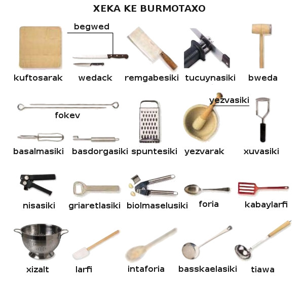 burmotaxo_xeka.jpg burmotaxo_xeka.jpg