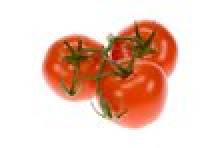 luez (tomate)