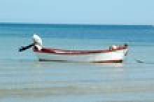 tiv (barque)