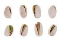zusiga (pistachier)