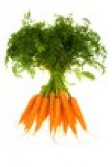 afeda (carotte) afeda (carotte)