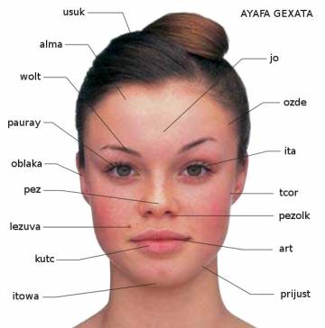 pezolk (narine) pezolk (narine)