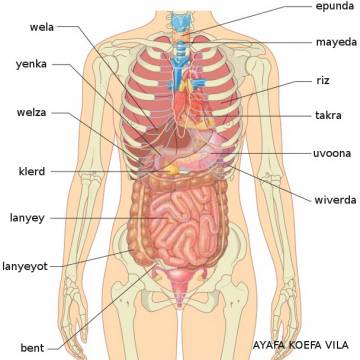 welza (rein) welza (rein)