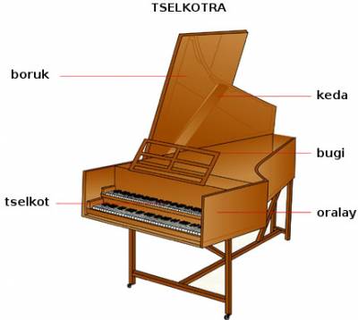 tselkotra (clavecin) tselkotra (clavecin)